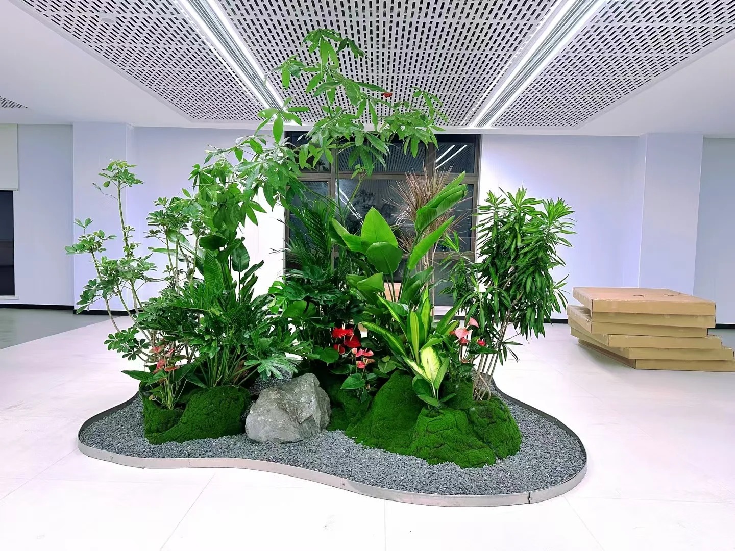 专业服务,宁波奉化植物租赁点亮你的世界