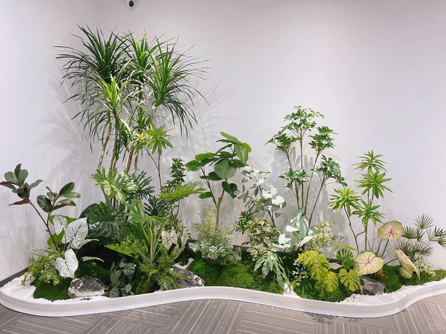 专业服务,宁波奉化植物租赁点亮你的世界